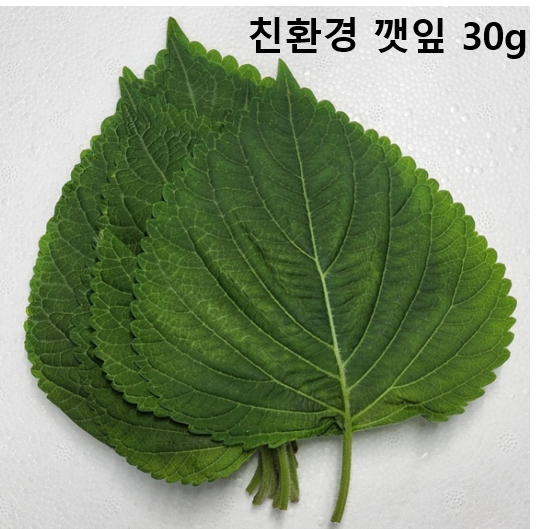 이미지4